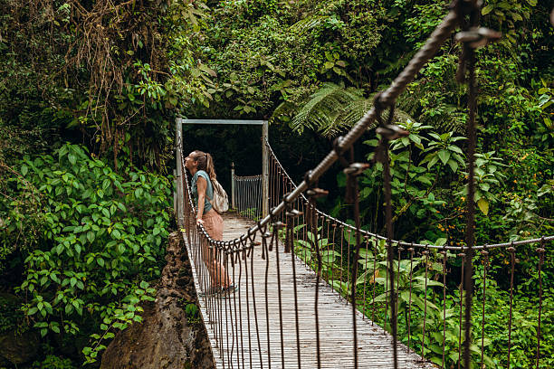 istock Woman Exploring Jungle Suspension Bridge 2196629913