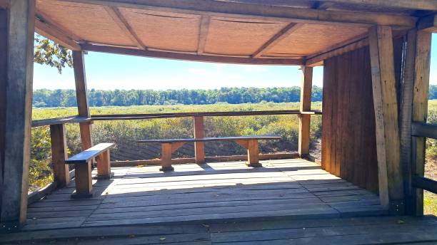 istock Rustic Wooden Shelter Overlooking Nature Reserve 2196631359