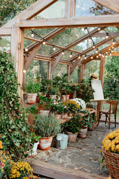 istock Creative work area with easel surrounded by shelves with potted plants plants in greenhouse 2196643485
