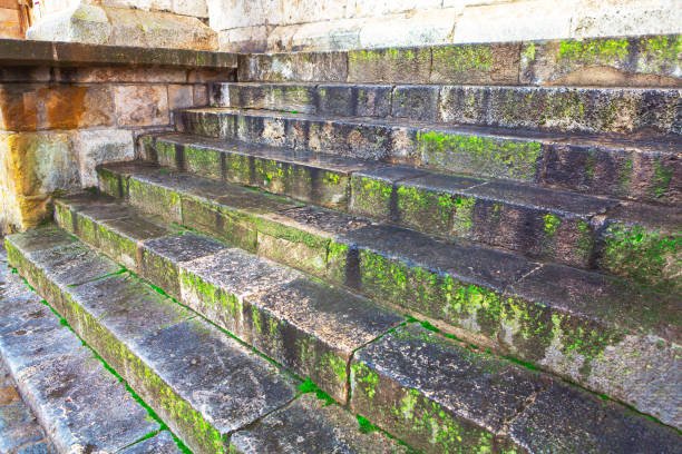 Old stone steps heavily covered in green moss, suggesting they have been exposed to moisture and the elements for a long time. Weathered steps are part of an ancient or historical structure