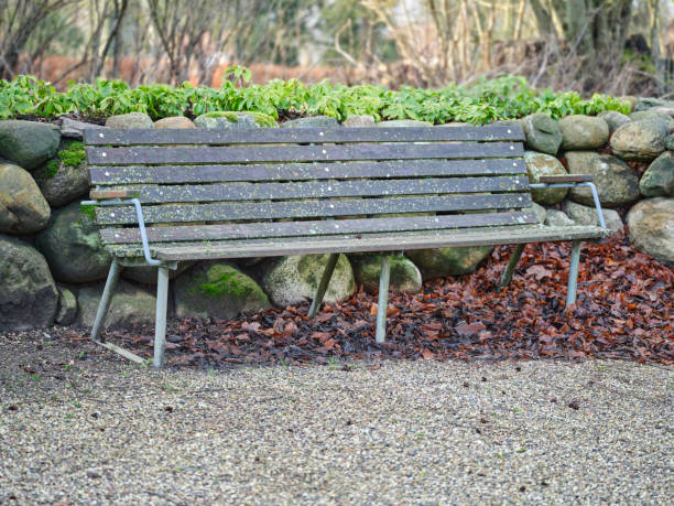 A rustic wooden bench in a peaceful garden setting, surrounded by fallen leaves and a stone wall, with room for text or design elements in the background.