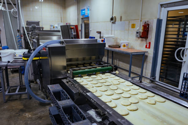 istock Modern bakery production line. Raw loafs on conveyor belt 2196653920