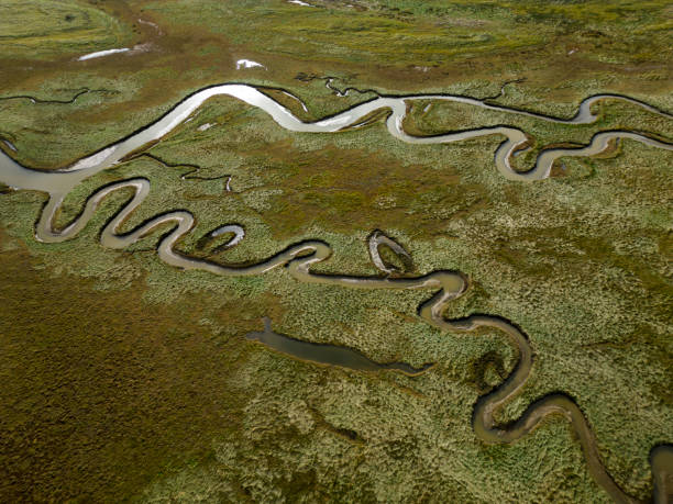 istock Aerial view of a channel during low tide, Terschelling, The Netherlands 2196655237