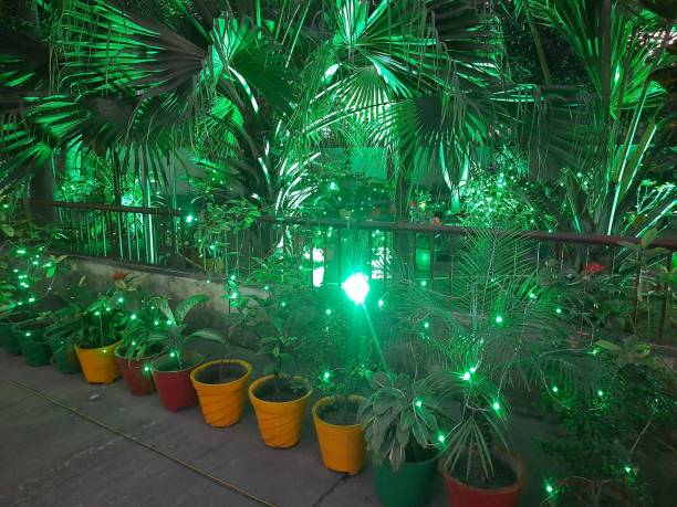 istock A charming nighttime scene in a garden. 2196660860
