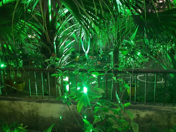 istock A charming nighttime scene in a garden. 2196660892