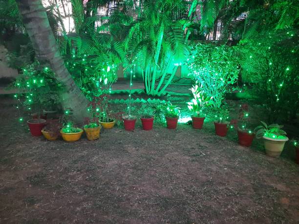 istock A charming nighttime scene in a garden. 2196660932