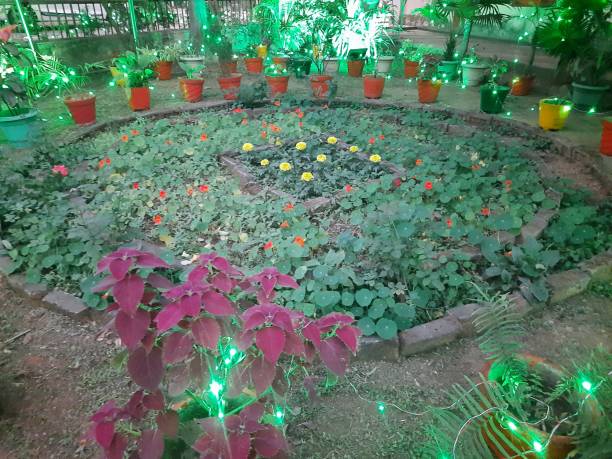 istock A charming nighttime scene in a garden. 2196660941