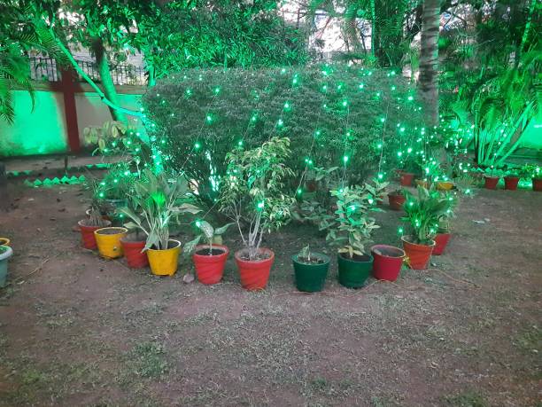 A charming nighttime scene in a garden.