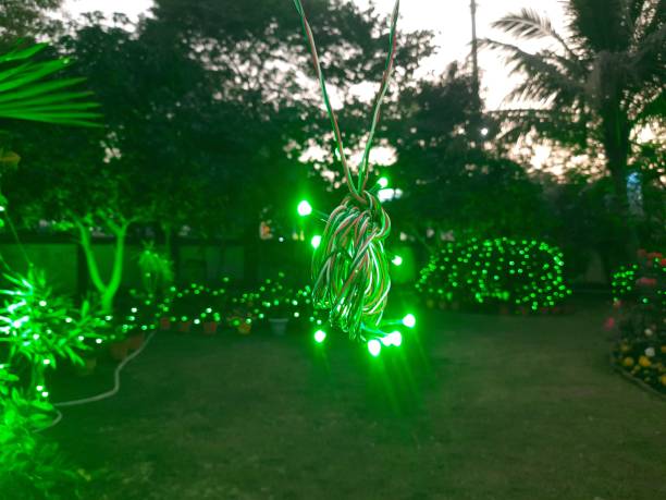 istock A charming nighttime scene in a garden. 2196660970