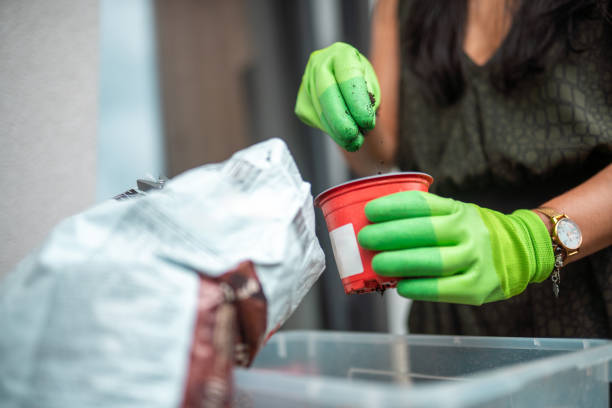 A focused Hispanic mid-adult woman engaging in repotting vibrant flowers, dressed casually with gloves for protection, in the sunny ambiance of her home's backyard.