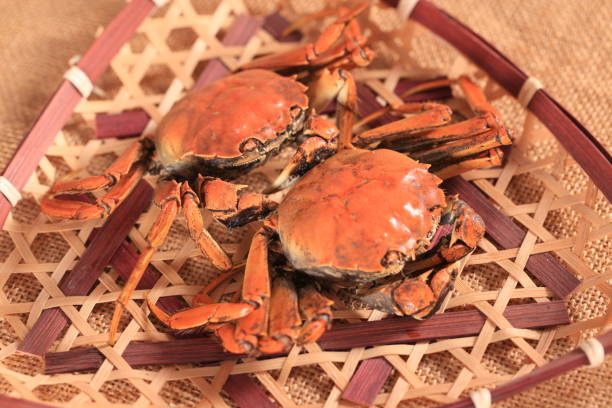 istock Hairy crab, Chinese delicacy 2196665523