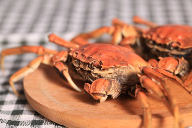 istock Hairy crab, Chinese delicacy 2196665533