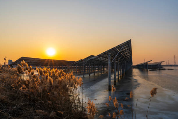 istock Solar photovoltaic panels in the evening 2196666076