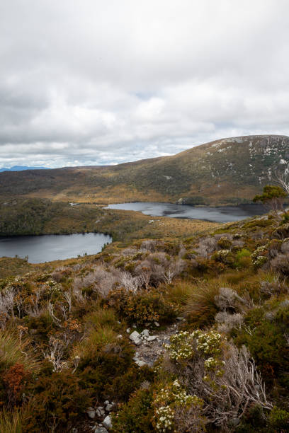 istock Marions lookout Cradle Mountain 2196667793