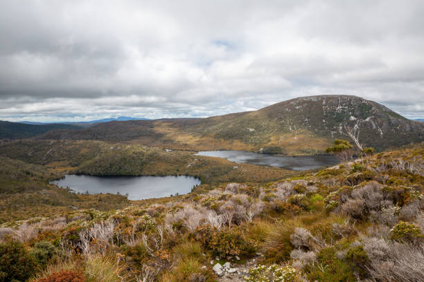 istock Marions lookout Cradle Mountain 2196667803