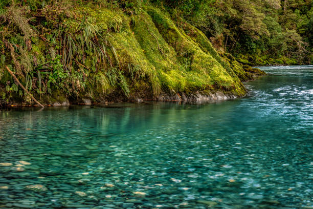 istock The clear clean turquoise water in the blue springs 2196668939