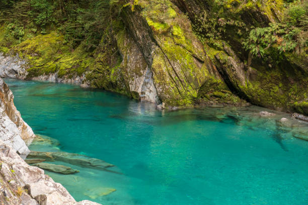 istock The clear clean turquoise water in the blue springs 2196669021