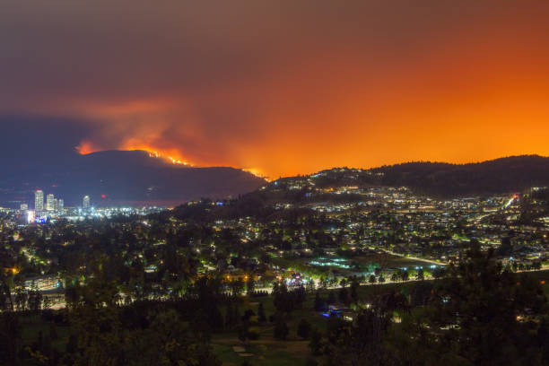 Wildfire near Kelowna lights up the night sky