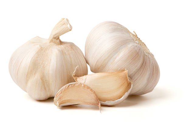 istock Garlic is a Thai medicinal plant and a type of spice. 2196669568