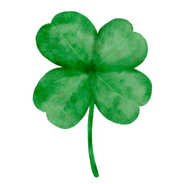 istock The Four Leaf Clover is widely recognized as a symbol representing luck and fortune for many 2196670173