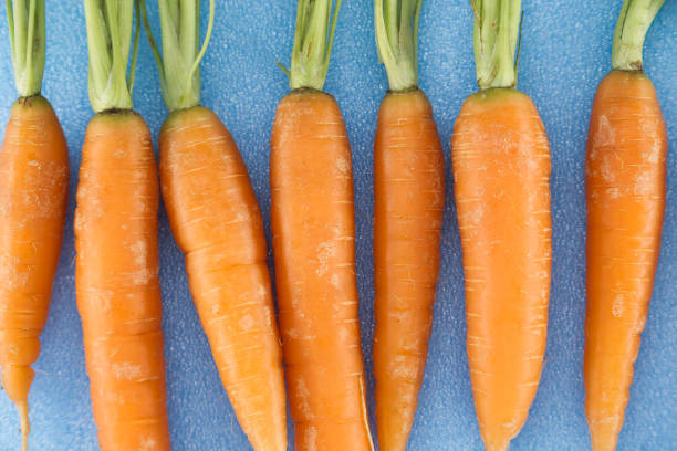 Overhead view of a background of washed raw organic carrots.
