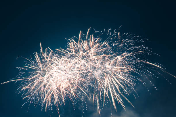 istock Spring Festival fireworks bloom in the night sky 2196676996