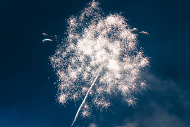 istock Spring Festival fireworks bloom in the night sky 2196677177