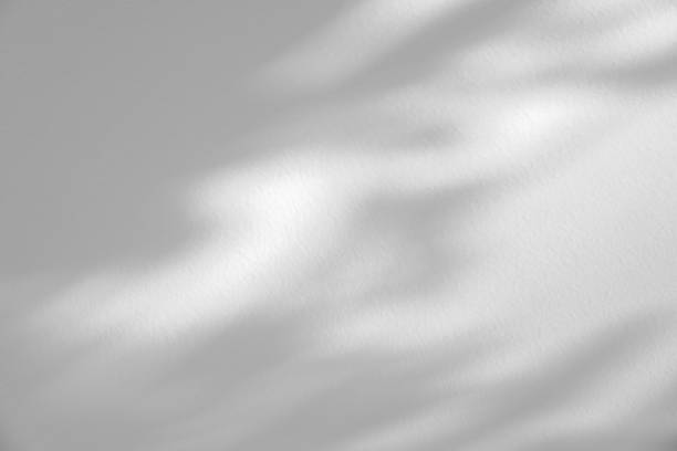 istock Wall interior background, studio and backdrops show products.with shadow from window color white . background for text insertion and presentation product 2196678830