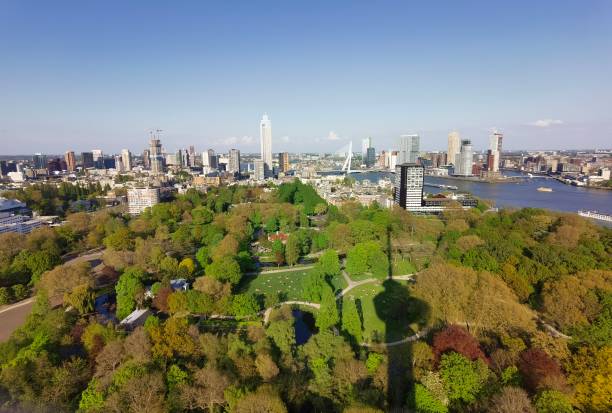 istock Cityscape of Rotterdam, Netherlands 2196679930