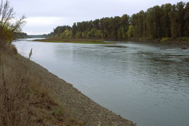 istock View along the bank of the Willamette River 2196681101