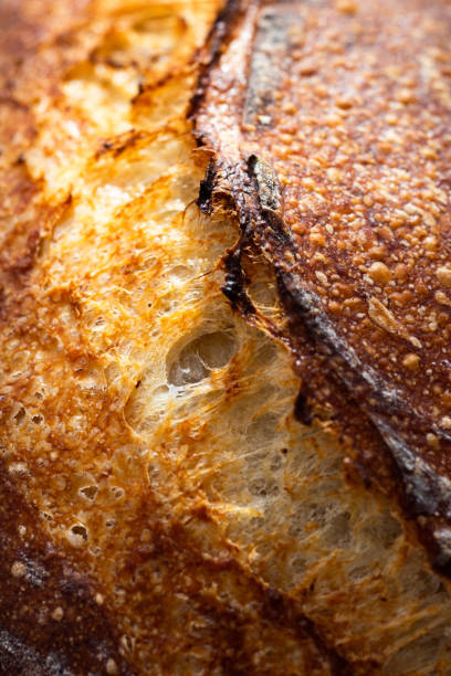 Close-Up of Artisan Bread Crust with Golden Texture