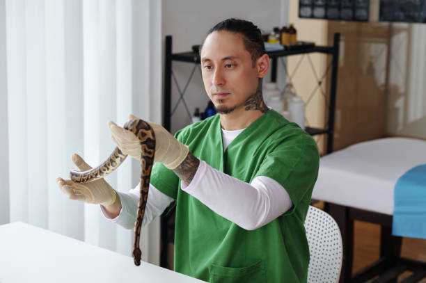Wildlife Expert Handling Exotic Snake in Laboratory Setting