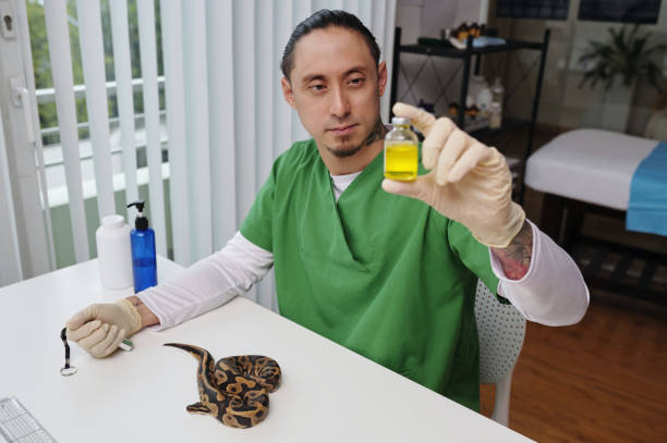 istock Holding Vial in Veterinary Clinic Setting 2196693303