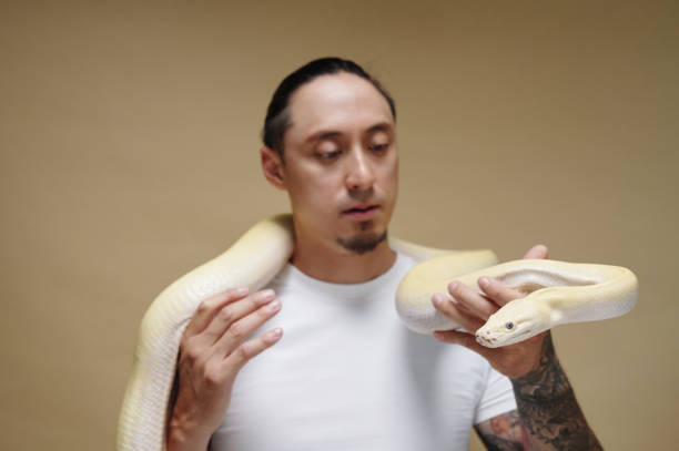 istock Holding Beautiful Albino Snake on Shoulders 2196693415