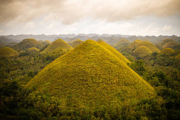 istock Aerial view of unique Chocolate Hills formation 2196698183