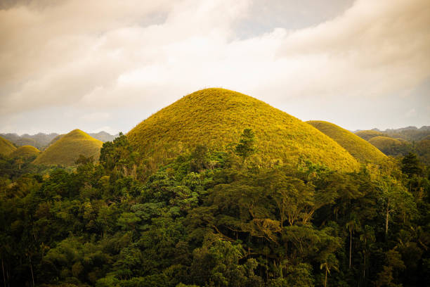 istock Chocolate Hills landscape in lush green forest 2196698202