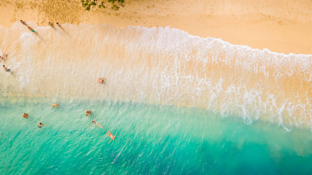 istock Turquoise waters and waves by sandy beach 2196698266