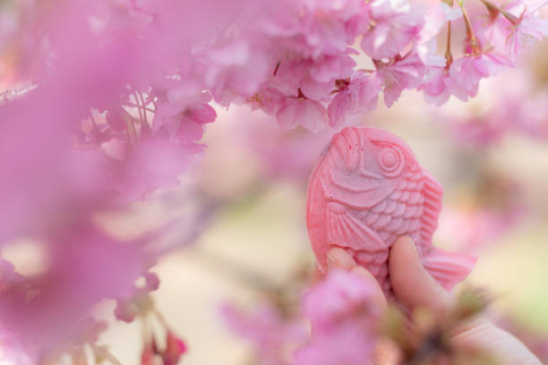 Kawazu cherry blossoms and taiyaki