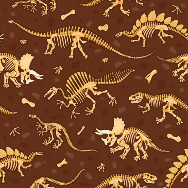 Prehistoric dinosaur fossils seamless pattern Prehistoric dinosaur fossils seamless pattern. Dino skeletons, bones and skulls vector background. Cartoon tyrannosaurus, triceratops, stegosaurus, velociraptor and spinosaurus dinosaur fossil pattern stegosaurus skull stock illustrations