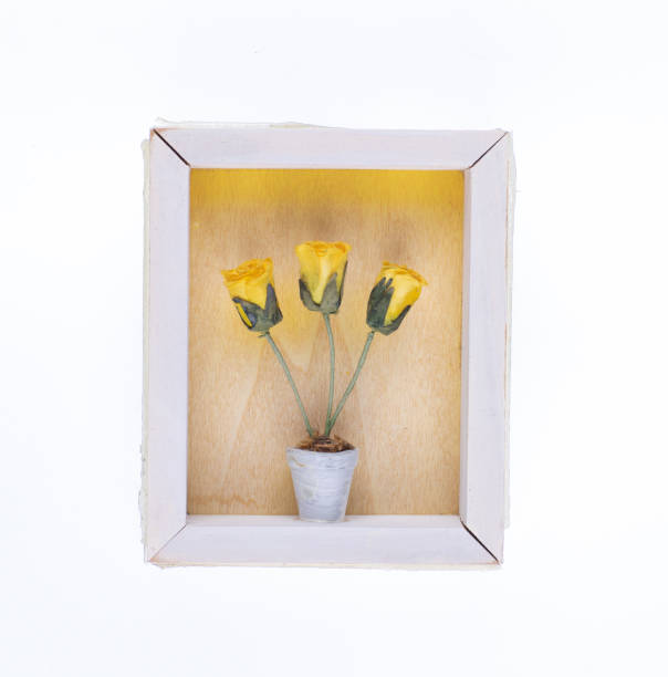 wooden frame with artificial yellow flowers isolated on white background