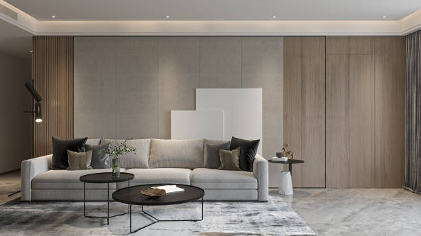 istock Modern Living Room Interior with Grey Sofa and Black Coffee Tables 2196704837