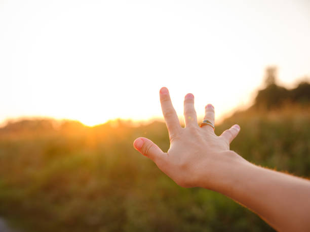 Soft evening light bathes golden field as woman's hand gently moves through tall grass, capturing sense of freedom, nature, and serenity. Warm sunset hues create peaceful, dreamy countryside atmosphere.