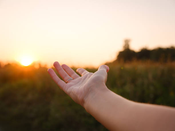 istock Warm sunset hues create peaceful, dreamy countryside atmosphere. 2196705489