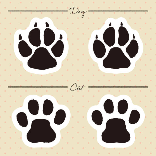 istock Hand-drawn illustration set of cat and dog footprints. Cat paw prints, dog paw prints. 2196706372