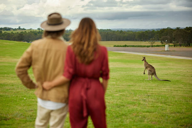 istock Kangaroo on grounds of winery in Hunter Valley, NSW 2196707194