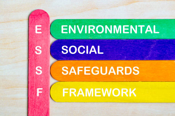 istock ESSF for Environmental, Social, Safeguards and framework text on wooden stick 2196708252