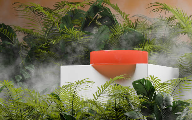 istock Tropical Jungle Display Stand with Orange Circle 2196708311