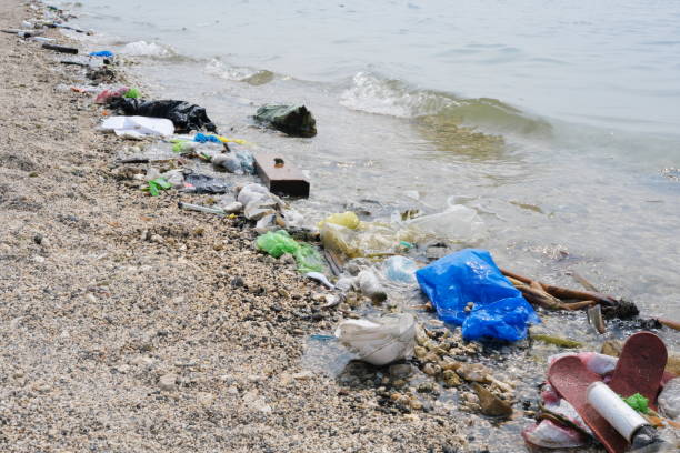 istock Garbage trash rubbish waste being washed to the shoreline by sea waves. 2196710083