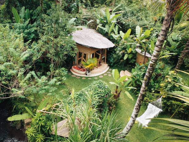 Aerial view of a lush garden with a wooden hut and hammock surrounded by tropical greenery, creating a serene and tranquil environment.