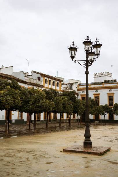 istock Patio de Banderas in Sevilla 2196710144